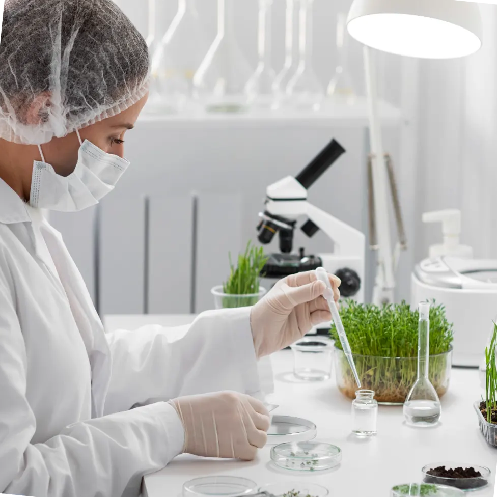 Herb Testing Process